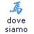 Dove Siamo